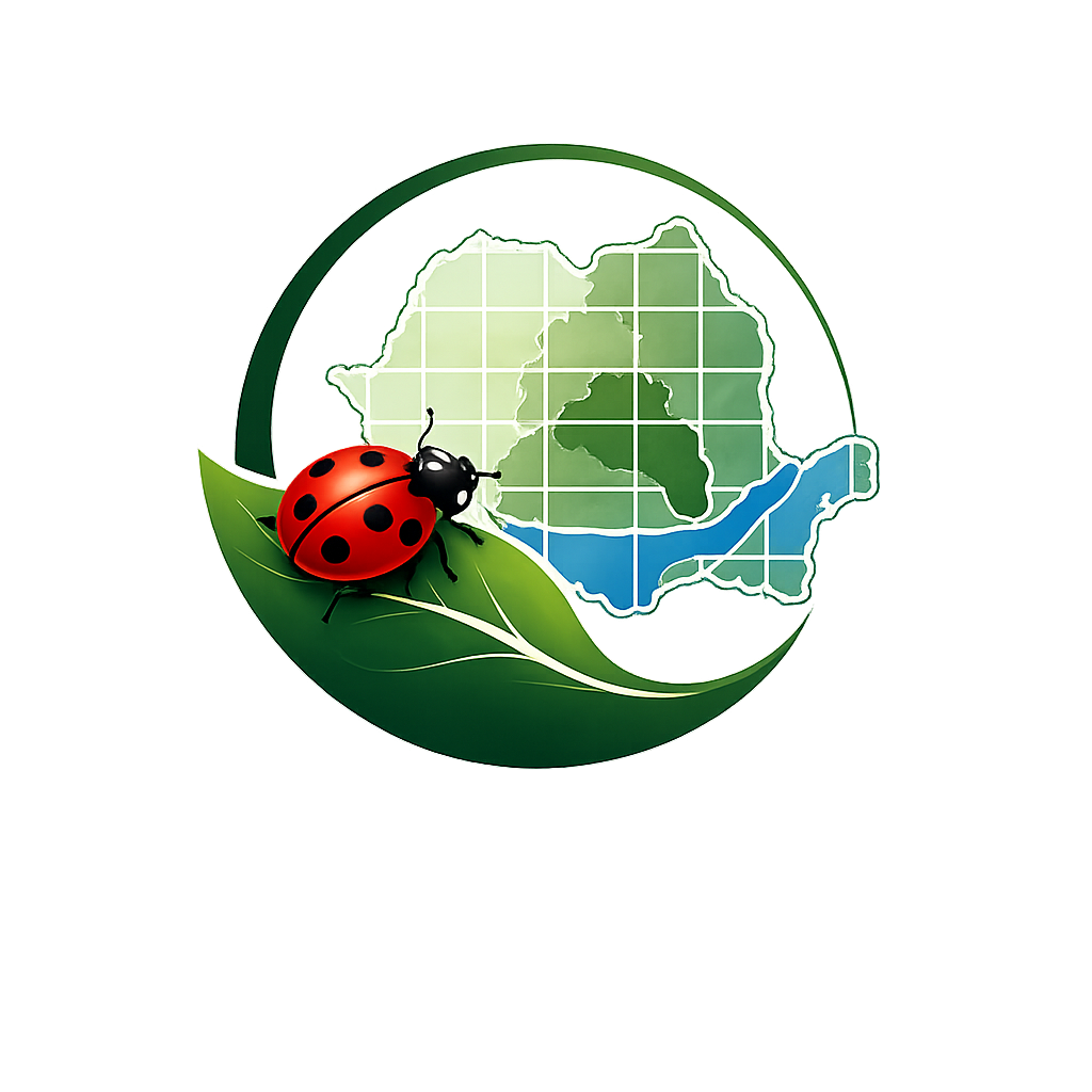 Logo BIMS